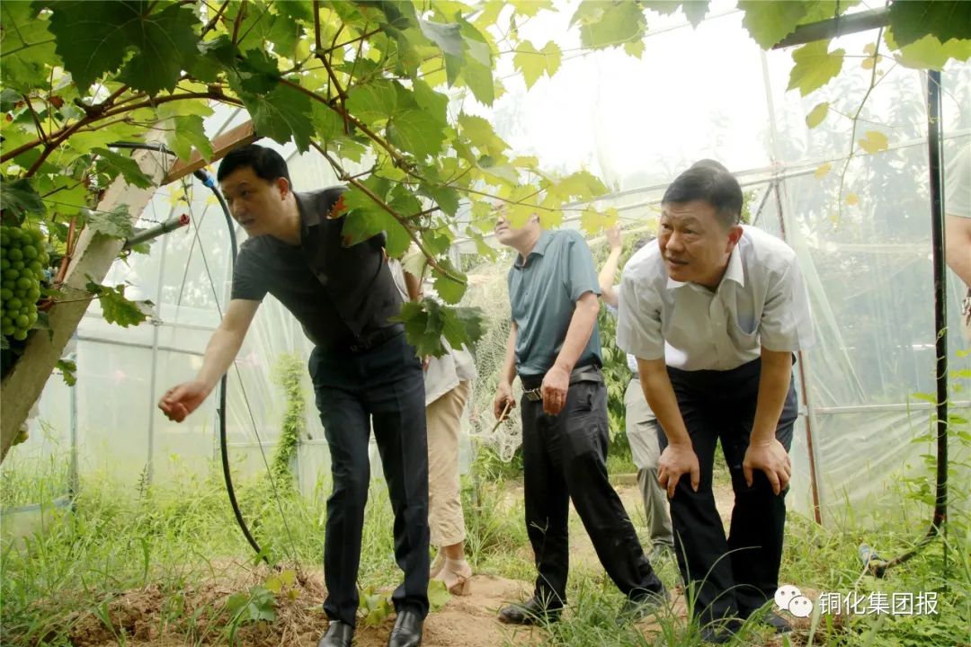 bat365(中国)在线平台官方网站-登录入口