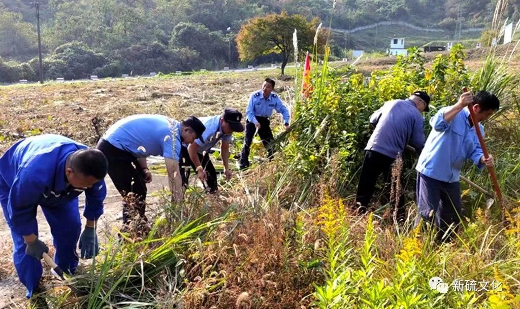 bat365(中国)在线平台官方网站-登录入口