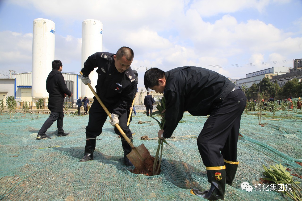 bat365(中国)在线平台官方网站-登录入口