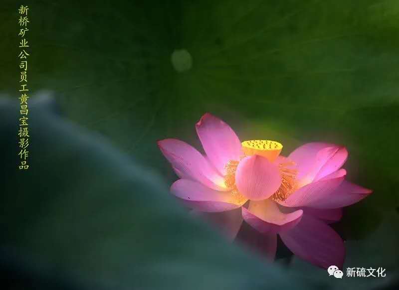 bat365(中国)在线平台官方网站-登录入口