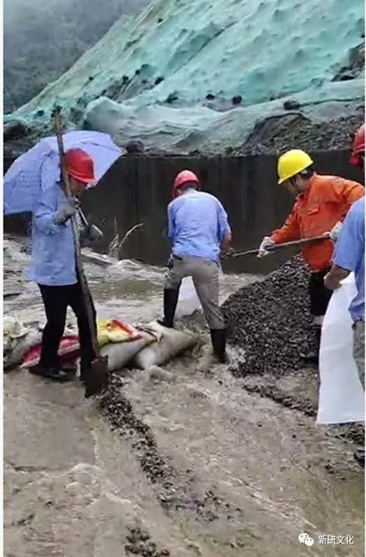 bat365(中国)在线平台官方网站-登录入口